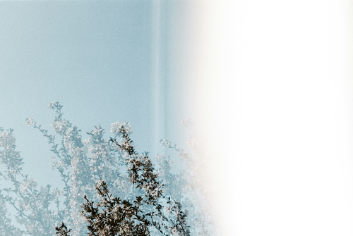 Barclays and ExpectAI to test AI sustainability tools for SMEs