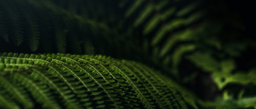 BBVA adds Surecomp’s RIVO to its digital offering