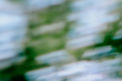 JPMorgan Chase reaches paid data-access agreements with aggregators