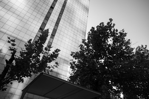 Monzo reportedly eyes private share sale