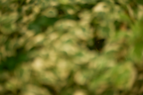 Putnam Greene Financial Corporation adopts Jack Henry platform