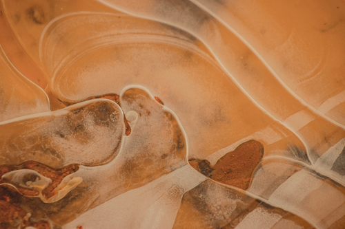 Ripple acquires Palisade to scale its custody capabilities